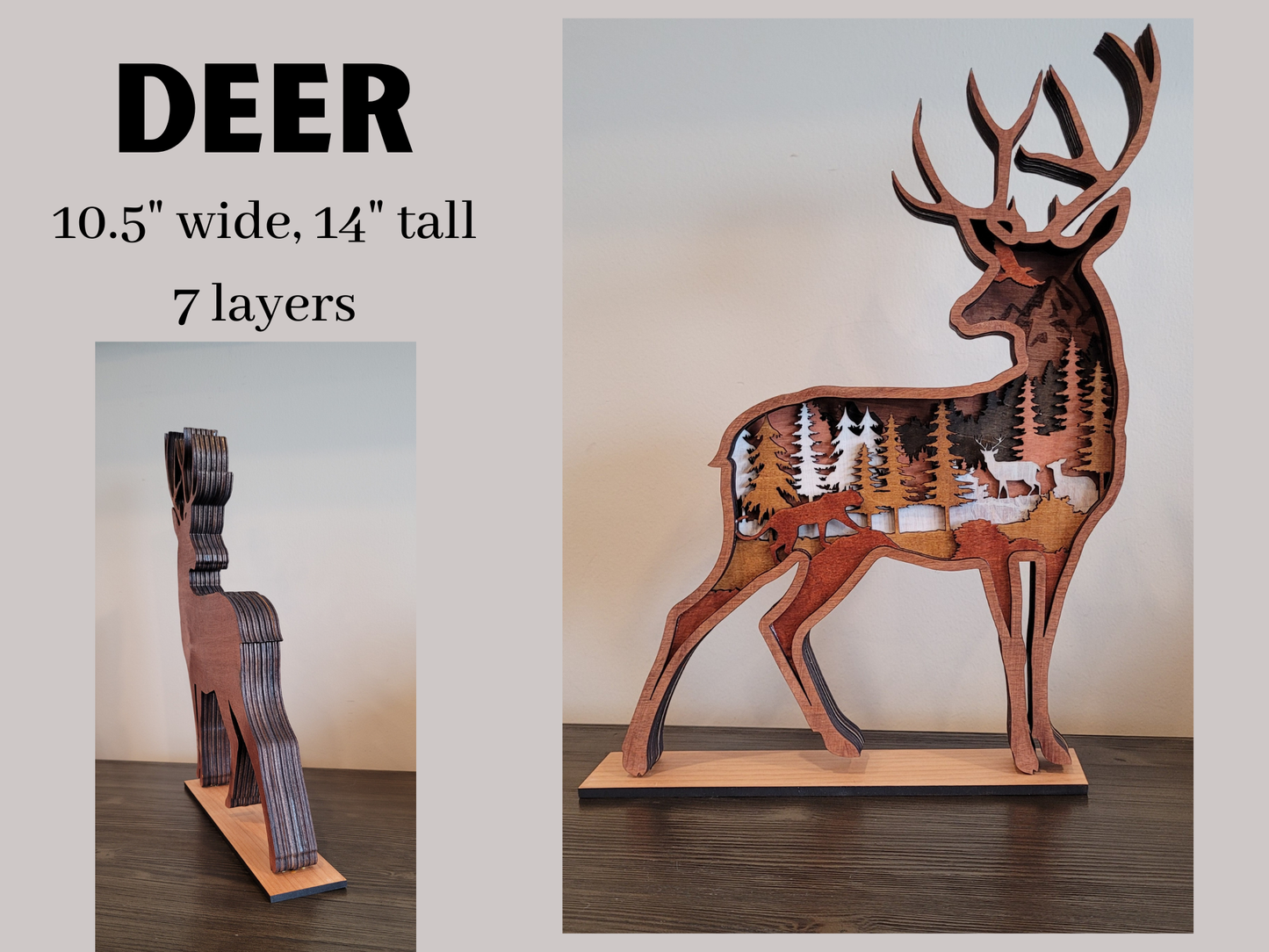 Deer